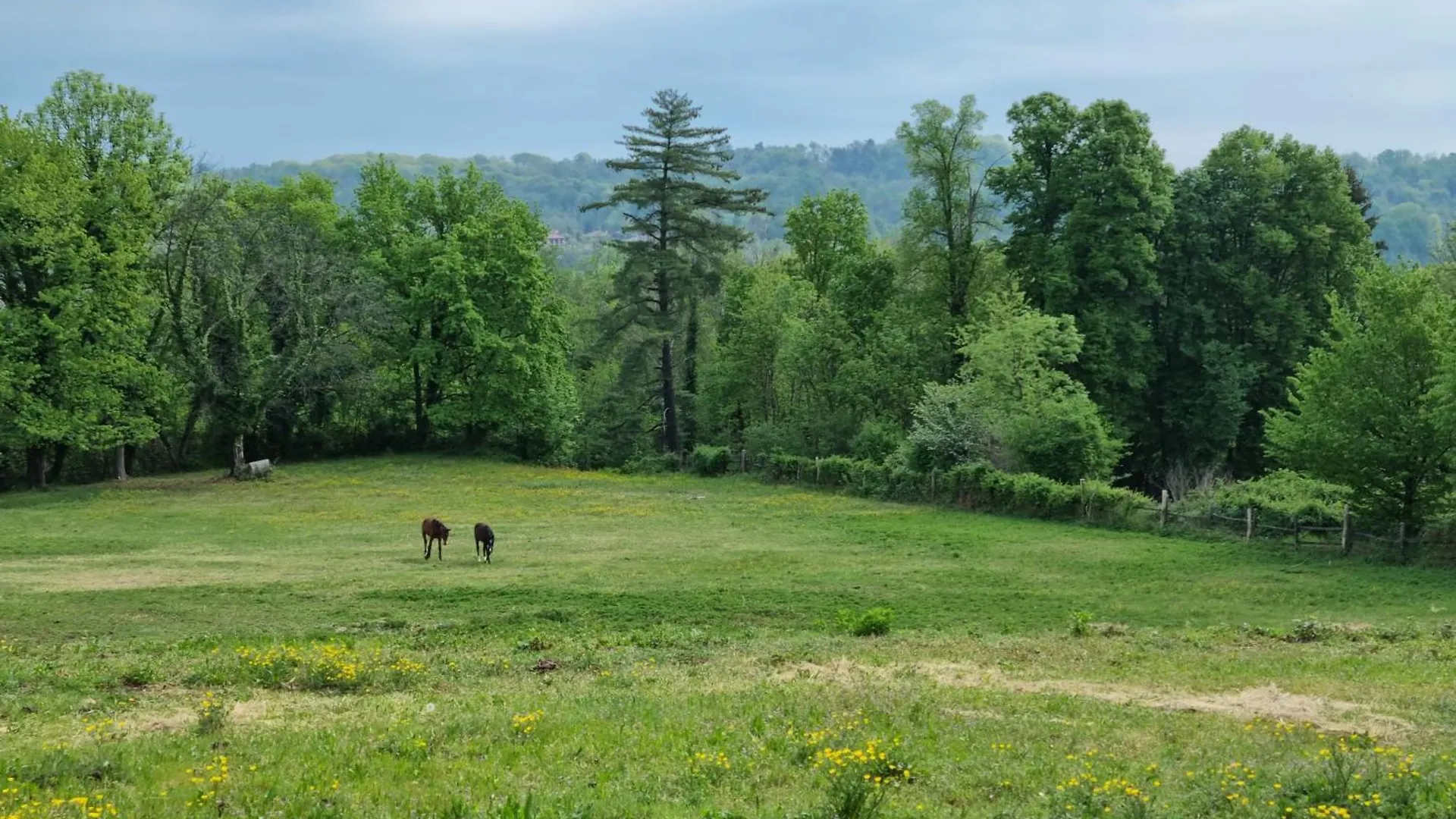 بيت للعطل Agriturismo Pastorelli Osmate