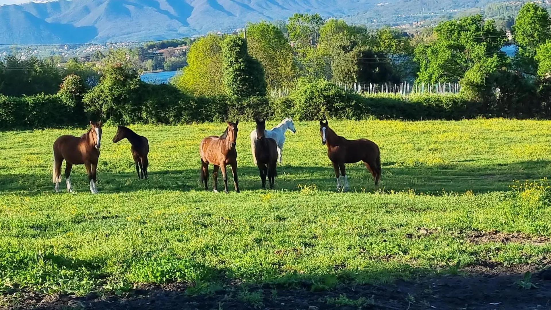 بيت للعطل Agriturismo Pastorelli Osmate